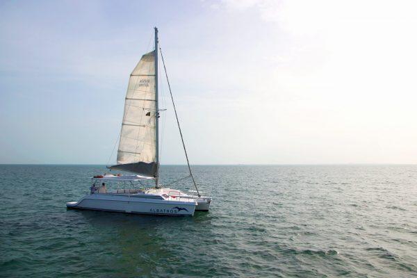 Lagoon 450 Manuel - Platino - Image 2