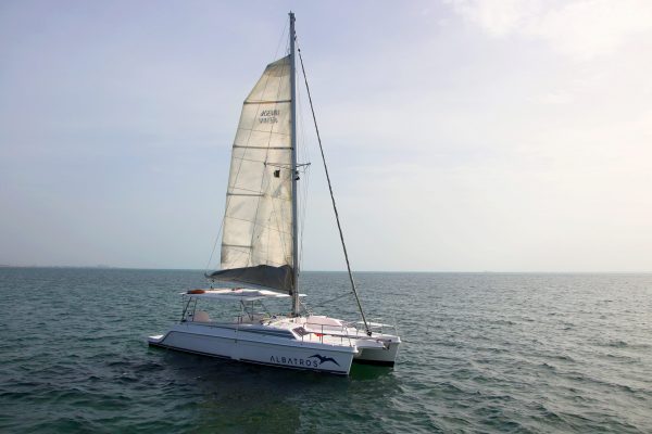 Lagoon 450 Manuel - Platino - Image 3