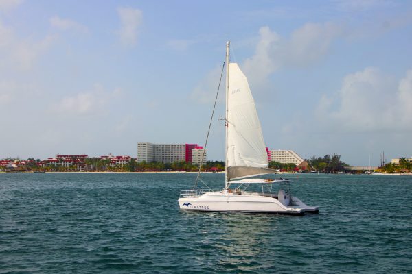 Lagoon 450 Manuel - Platino - Image 5